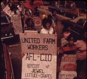 Fighting for Labor Rights